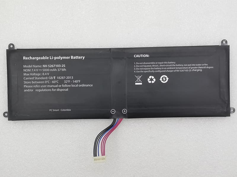 NV-5267103-2S Battery