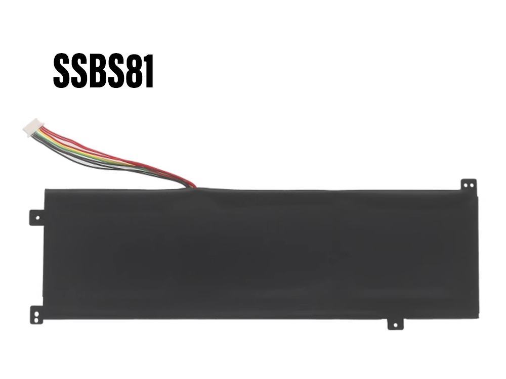 SSBS81