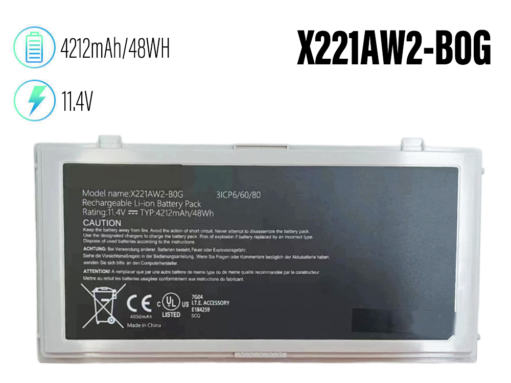 X221AW2-B0G pour INNOLUX X221AW2-B0G